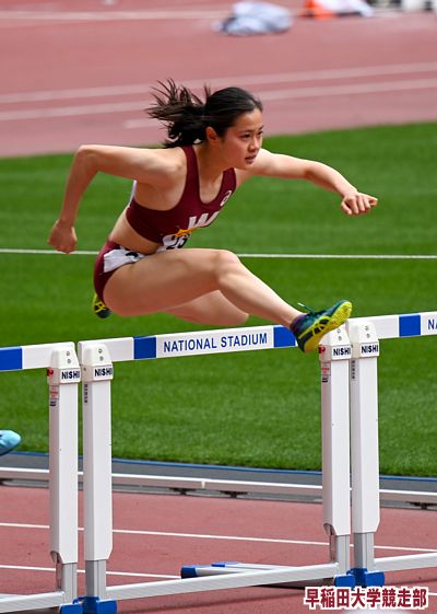 ドミナス 2013 （ワイン史上類を見ない100点4冠獲得！） 歴代最高WA100